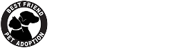 BFPA Auction
